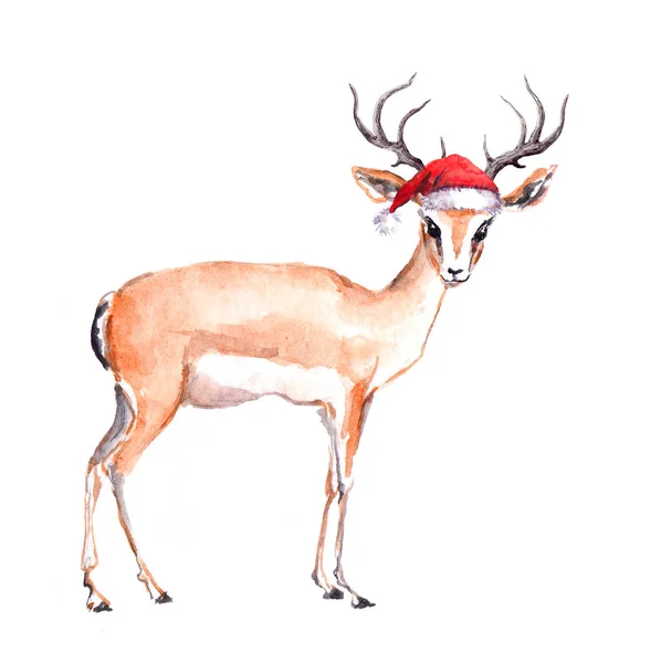 Bonito animal de Natal cervo em chapéu de Papai Noel vermelho. Aquarela — Fotografia de Stock