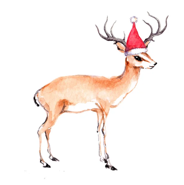 Mignon cerf de Noël animal en chapeau de Père Noël rouge. Aquarelle — Photo