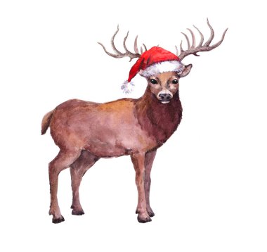 Kırmızı Noel Baba şapkalı geyik. Noel için suluboya
