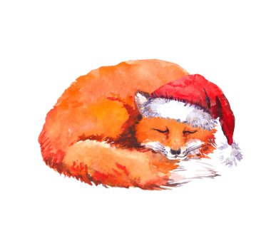 Kırmızı Noel Baba şapkalı uyuyan tilki. Noel suluboya