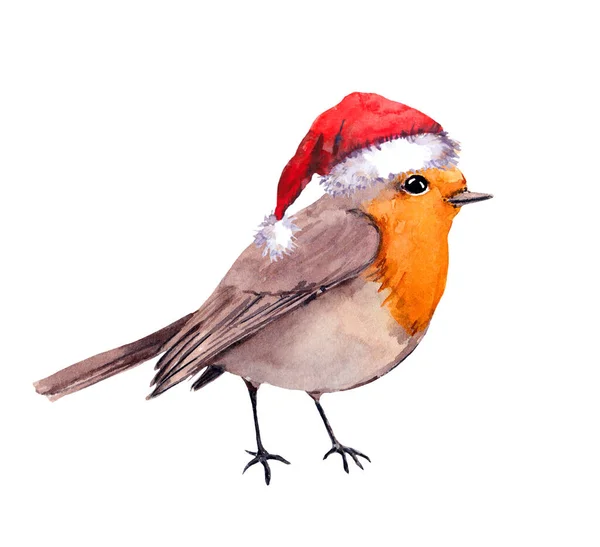 Robin ptaszek w czerwonym kapeluszu Mikołaja. Akwarela na Boże Narodzenie — Zdjęcie stockowe