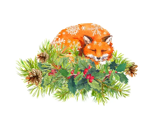 Slapende vos in sneeuwvlokken. Spar boom takken, kerst maretak. Waterverf — Stockfoto