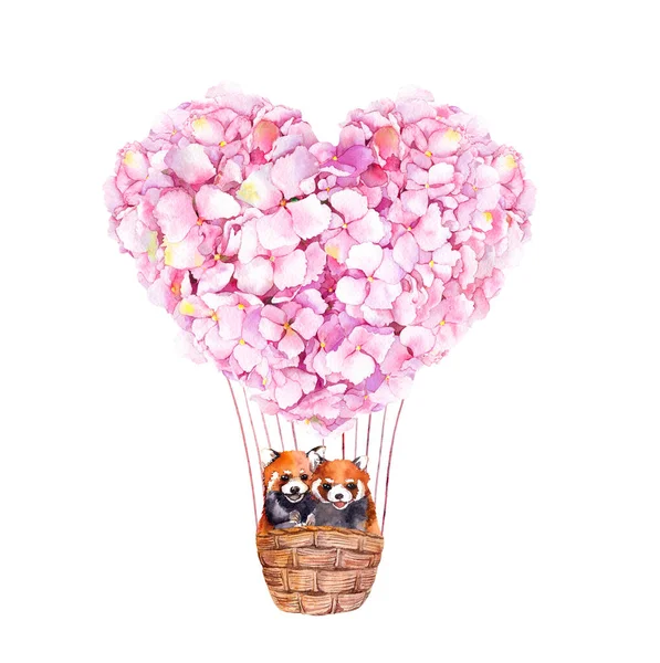 Schattig wasbeer paar vliegen in hete lucht ballon aquarel illustratie. Verliefde dieren die samen in een ballonmand zitten. Hortensia roze bloemen, oorvorm. Romantische Valentijnskaart — Stockfoto