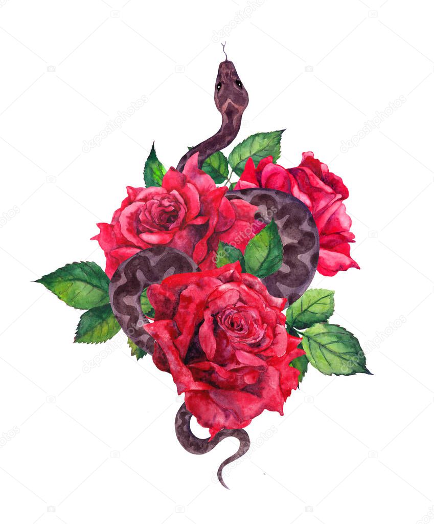Snake and red roses flowers. Watercolor design for gothic tattoo