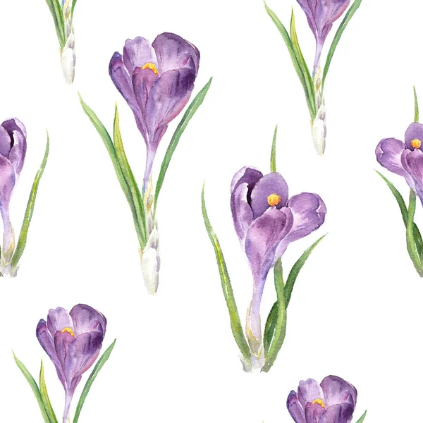 Voorjaarskrokusbloem. Naadloos patroon. Bloemen aquarel — Stockfoto