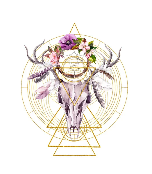 Złote święte koła geometryczne, trójkąty, czaszka zwierzęcia jelenia, łapacz snów, kwiaty i pióra. Akwarela dla świętej nauki, mistyka, ezoteryczna duchowość, piękne t-shirty — Zdjęcie stockowe