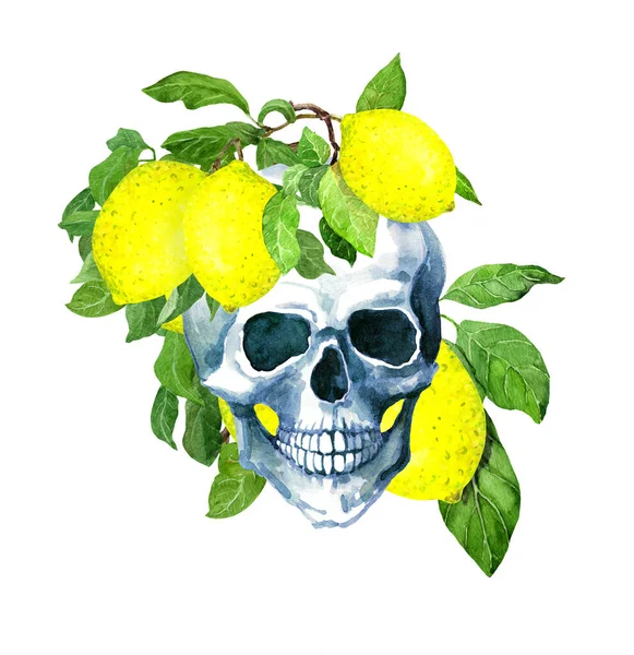 Calavera humana con frutas de limón, hojas. Acuarela — Foto de Stock