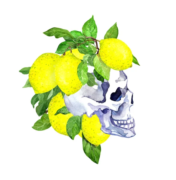Людський череп з лимонними фруктами, листям. Акварель — стокове фото