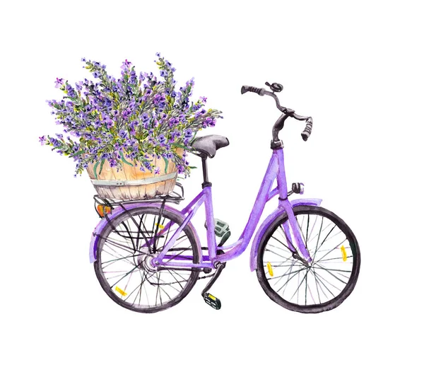 바이올렛 자전거, 라벤더 꽃을 바구니에 담습니다. 수채 색 — 스톡 사진