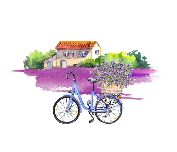 Велосипед з квітами лаванди в кошику, сільська сцена з фермерським будинком, фіолетове лавандове поле. Акварель — стокове фото