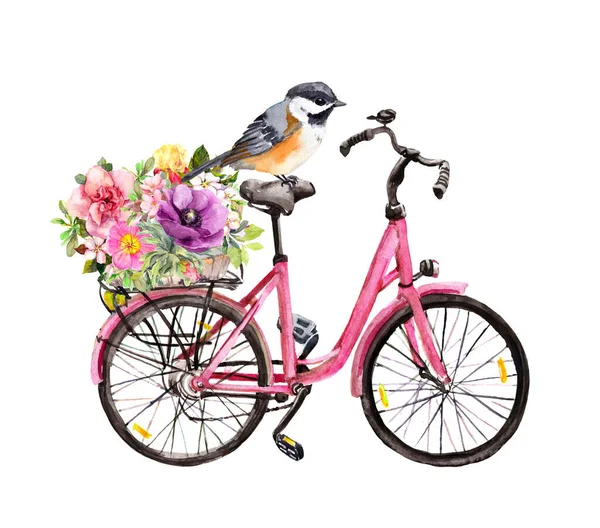 Liedvogel op vintage roze fiets met bloemen in mandje. Waterverf — Stockfoto