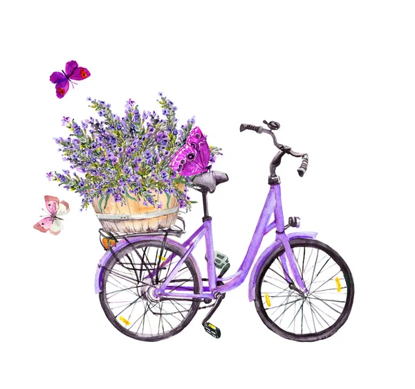 Bicicleta violeta, flores de lavanda buquê em cesta e borboletas. Aquarela — Fotografia de Stock