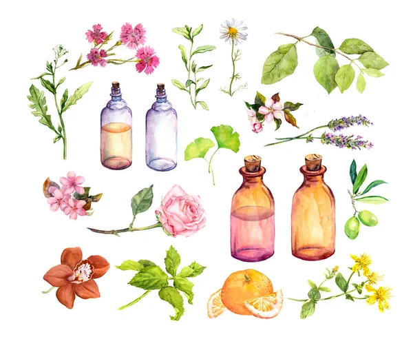 Zestaw składników do olejków kosmetycznych, perfumeryjnych, medycznych. Zioła, kwiaty, butelki. Kolekcja akwareli — Zdjęcie stockowe