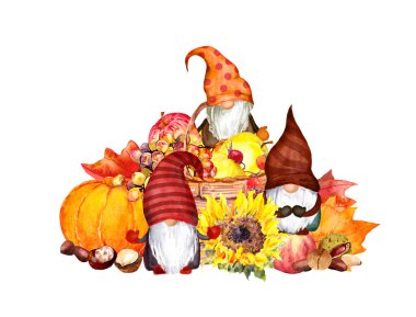 Gnomes ailesi sonbahar hasat sepeti. Ayçiçeği, balkabağı, akçaağaç yaprağı, meyve, sebze, çiçek, fındık
