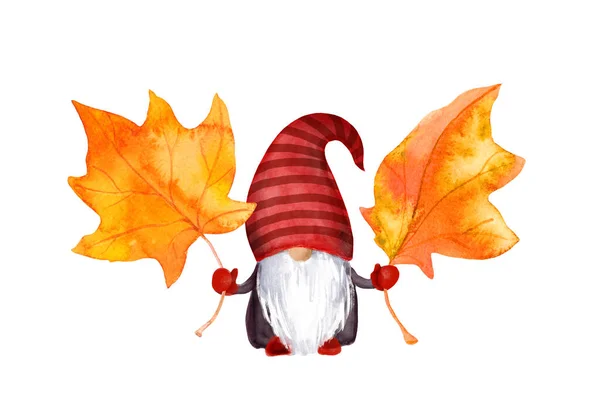 Gnomo de otoño, hojas de arce. Acuarela enana mágica escandinava —  Fotos de Stock