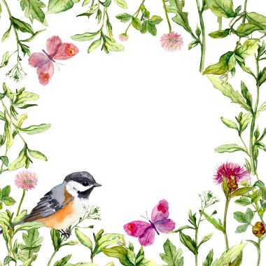 Border frame with summer herbs, meadow flowers, bird and butterflies. Watercolor