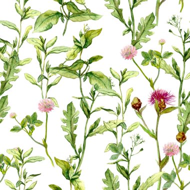 Pattern with meadow herbs. Seamless watercolor