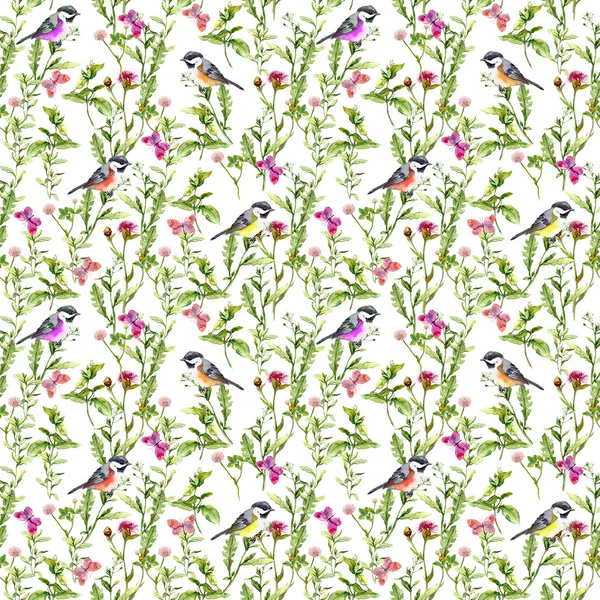 Summer herbs, butterflies and bird. Seamless watercolor pattern — Stock Photo, Image