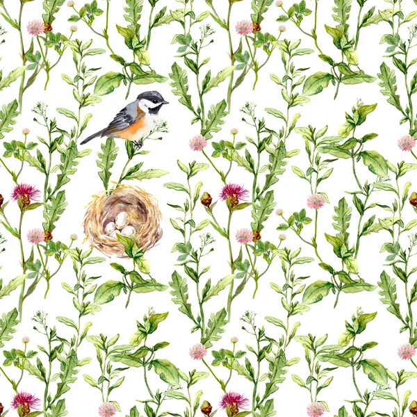 Pattern with herbs, bird and nest. Seamless watercolor — Stock Photo, Image