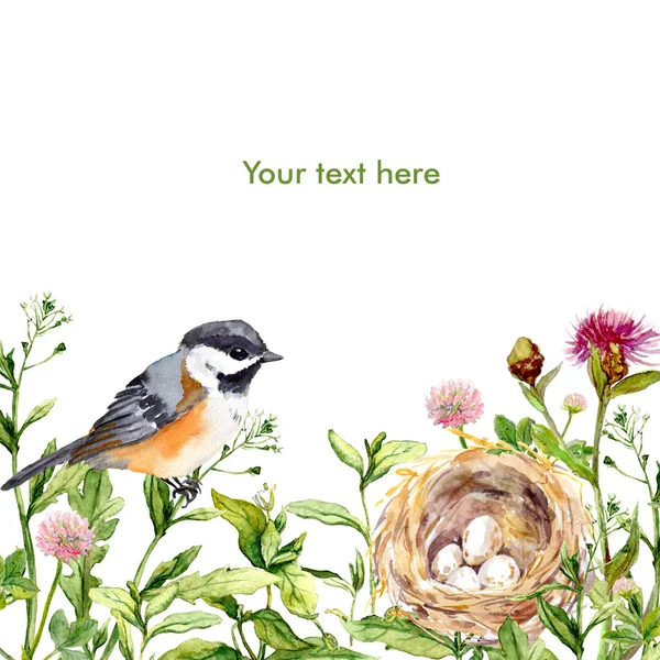 Greeting card with wild herbs, bird and nest. Watercolor card — Stock Photo, Image