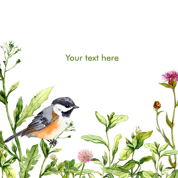 풀밭 잔디에 새입니다. 수채화 여름 인사말 카드 — 스톡 사진