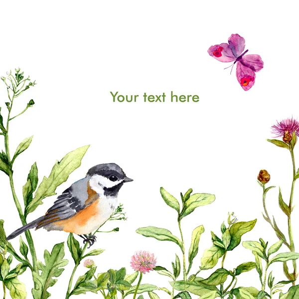 Trawa łąka, ptaków i motyli. Akwarela wzór kwiatowy kartkę z życzeniami — Zdjęcie stockowe