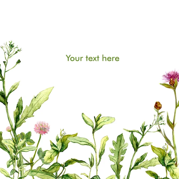 Акварель летняя открытка с луговой травой — стоковое фото