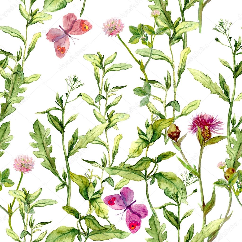 Meadow with herbs, flowers and butterflies. Seamless vintage watercolor pattern