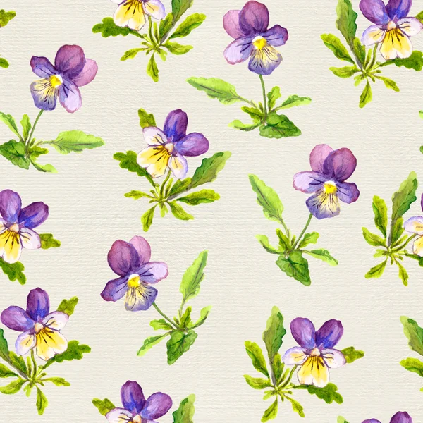 Bezešvé květinovými tapetami s ručně malované květy fialové viola na papír textury — Stock fotografie