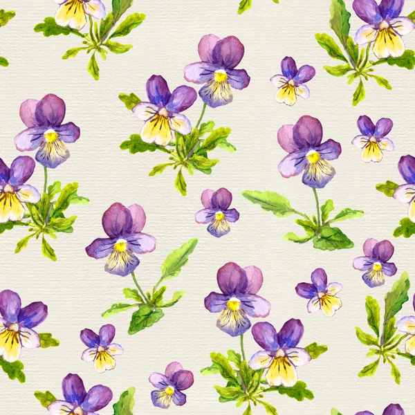 Handgeschilderde naadloze patroon met violet altviool bloemen op papier achtergrond — Stockfoto