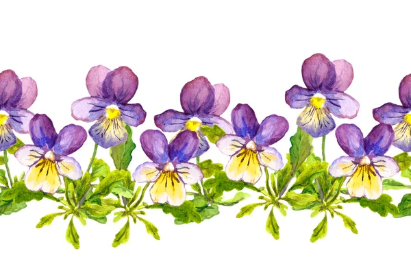 Sömlös blommig kant band med violett viola blommor på vit bakgrund — Stockfoto