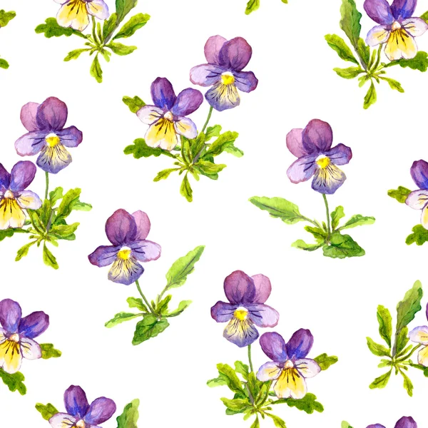 Aquarel geschilderd naadloze behang met violet viooltje altviool bloemen — Stockfoto