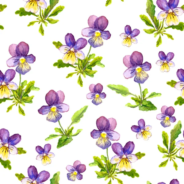 Naadloze bloemmotief met violet altviool bloemen — Stockfoto
