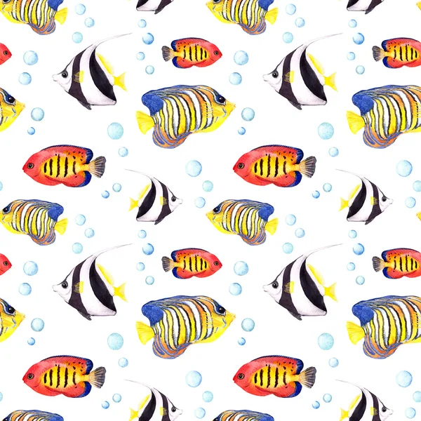 Exotic fish (tropical fish). Repeating seamless pattern. Watercolor — Stock Photo, Image