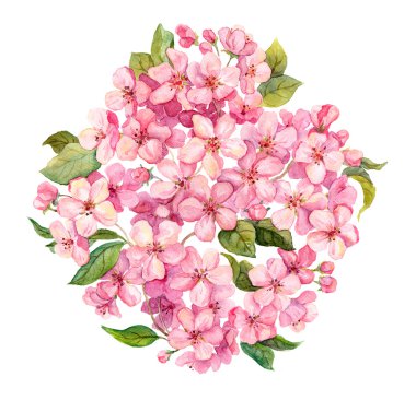Pembe bahar çiçekleri - sakura, elma çiçek çiçek. Suluboya