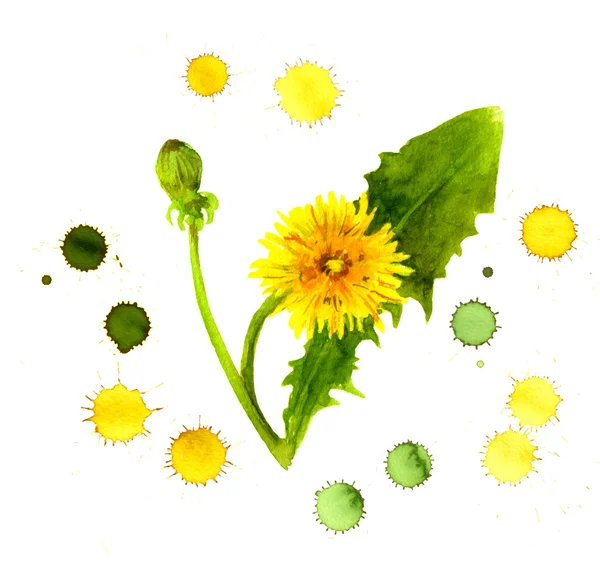 Creative painting of yellow dandelion in color spray droplets — Stock Photo, Image