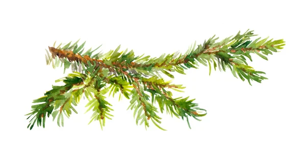 Aquarel geschilderd pine branch — Stockfoto