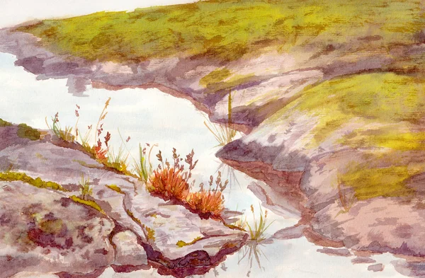 Pohled na akvarel s rock břehu potoka s trávy a mechu — Stock fotografie