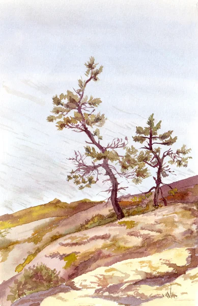 Acuarela vista pintada con dos pinos cerca del agua — Foto de Stock