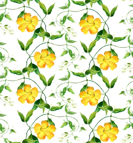 Bindweed fleur jaune. Motif floral répété. Aquarelle — Photo