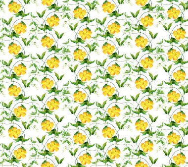 Sarı çiçek gündüzsefası. Çiçek desenli yinelenen. Suluboya