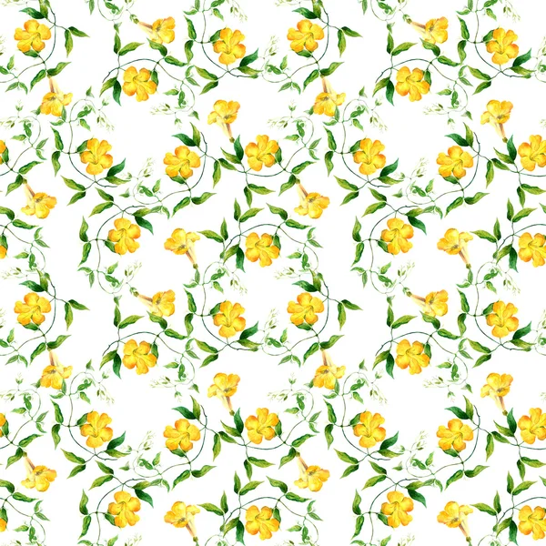 Κίτρινο λουλούδι στα. Επανάληψη λουλουδάτο μοτίβο. Ακουαρέλα — Φωτογραφία Αρχείου