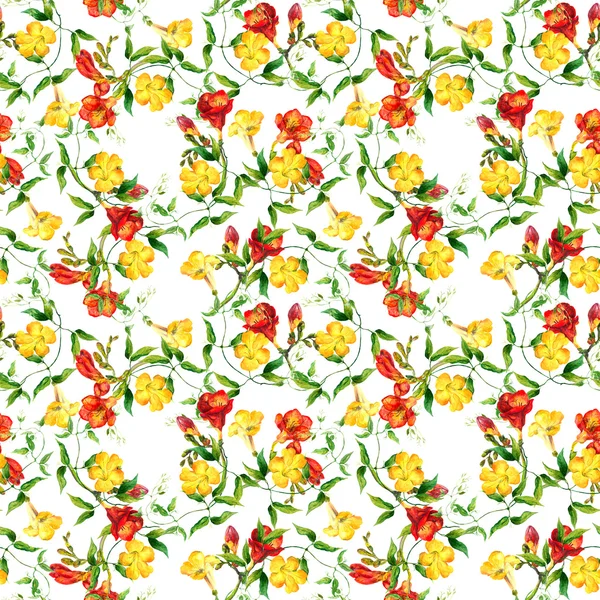 Yellow and red flowers pattern watercolor. Freesia, bindweed — Stock Photo, Image