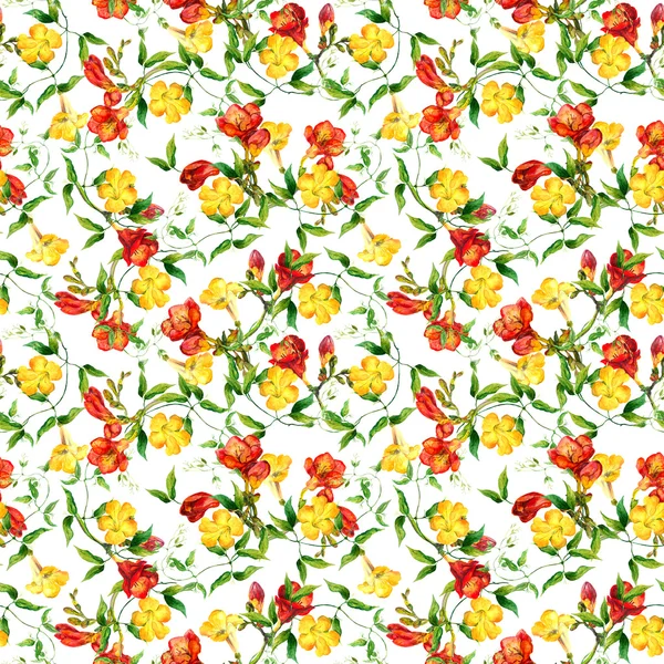 Yellow and red flowers pattern watercolor. Freesia, bindweed — Stock Photo, Image