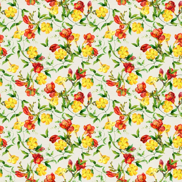 Yellow and red flowers pattern watercolor. Freesia, bindweed — Stock Photo, Image