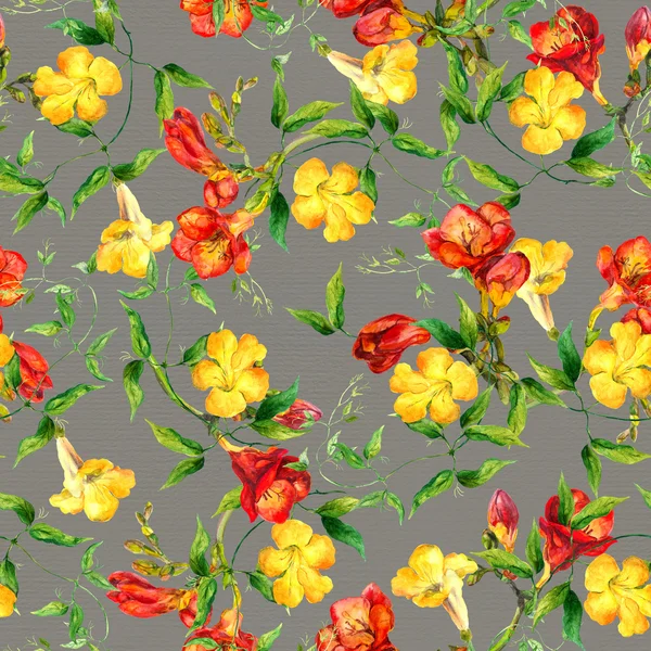 Aquarelle motif fleurs jaunes et rouges. Freesia, bindweed — Photo