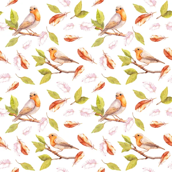 Fågel på gren och fjädrar. Seamless mönster. Akvarell — Stockfoto