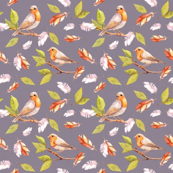 Vogel an Zweigen und Federn. nahtloses Muster. Aquarell — Stockfoto