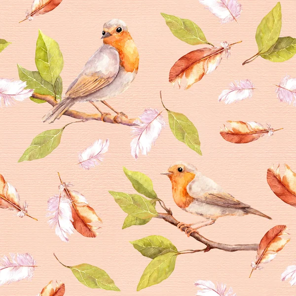 분기와 깃털에 새입니다. 완벽 한 복고풍 수채화 패턴 — 스톡 사진