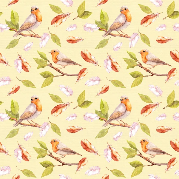 Vogel an Zweigen und Federn. nahtloses Muster. Aquarell — Stockfoto